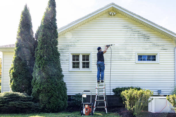 Best Parking Lot and Garage Cleaning  in Malta, IL